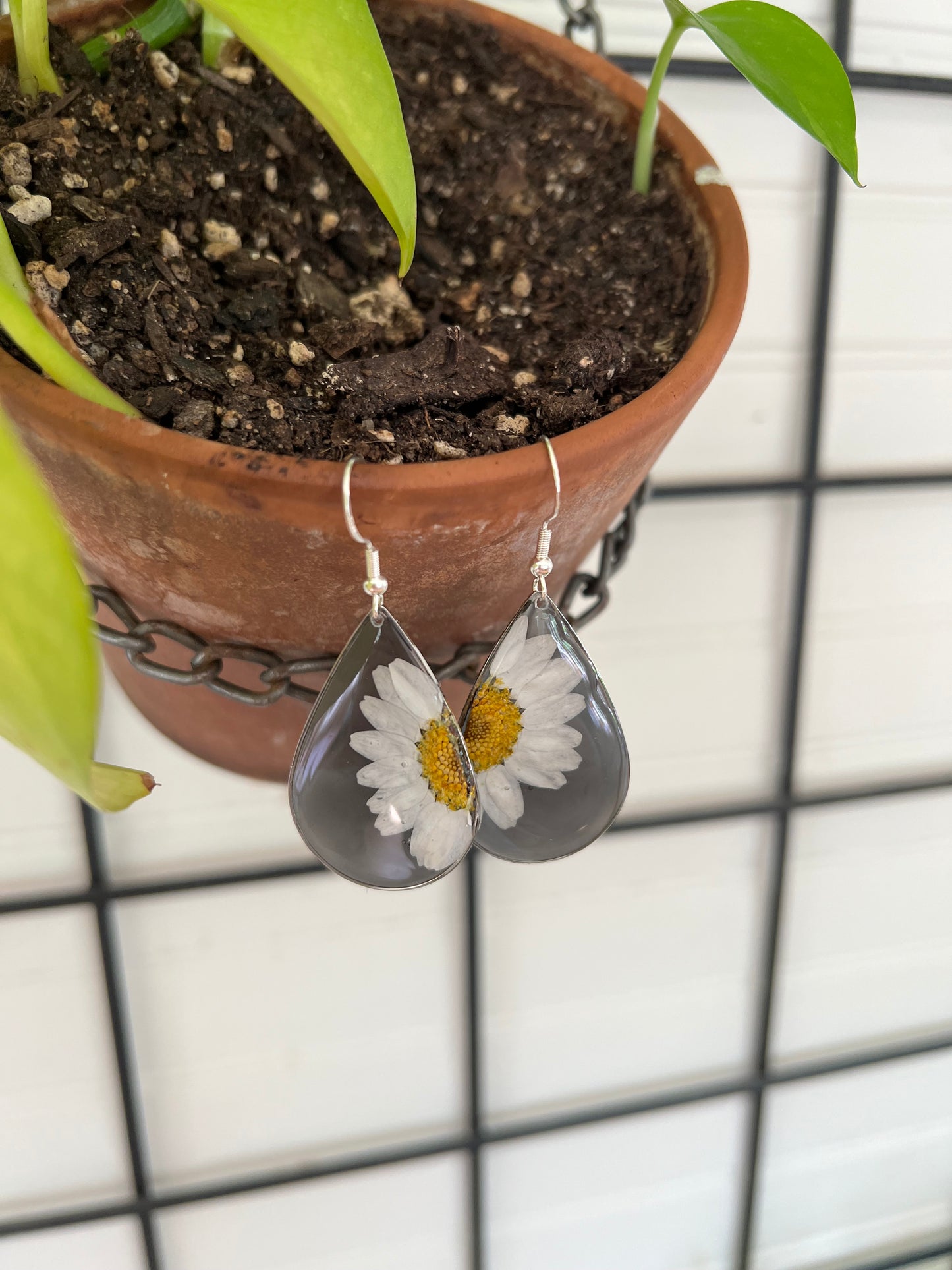 Half Daisy Earrings