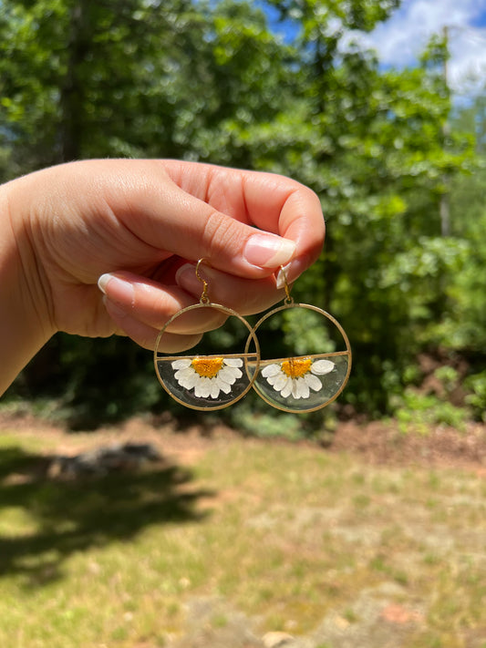 Daisy Loop – Real Flower Resin Half Circle Earrings