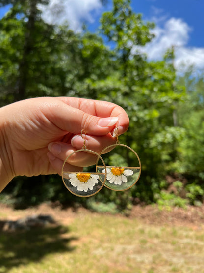 Daisy Loop – Real Flower Resin Half Circle Earrings